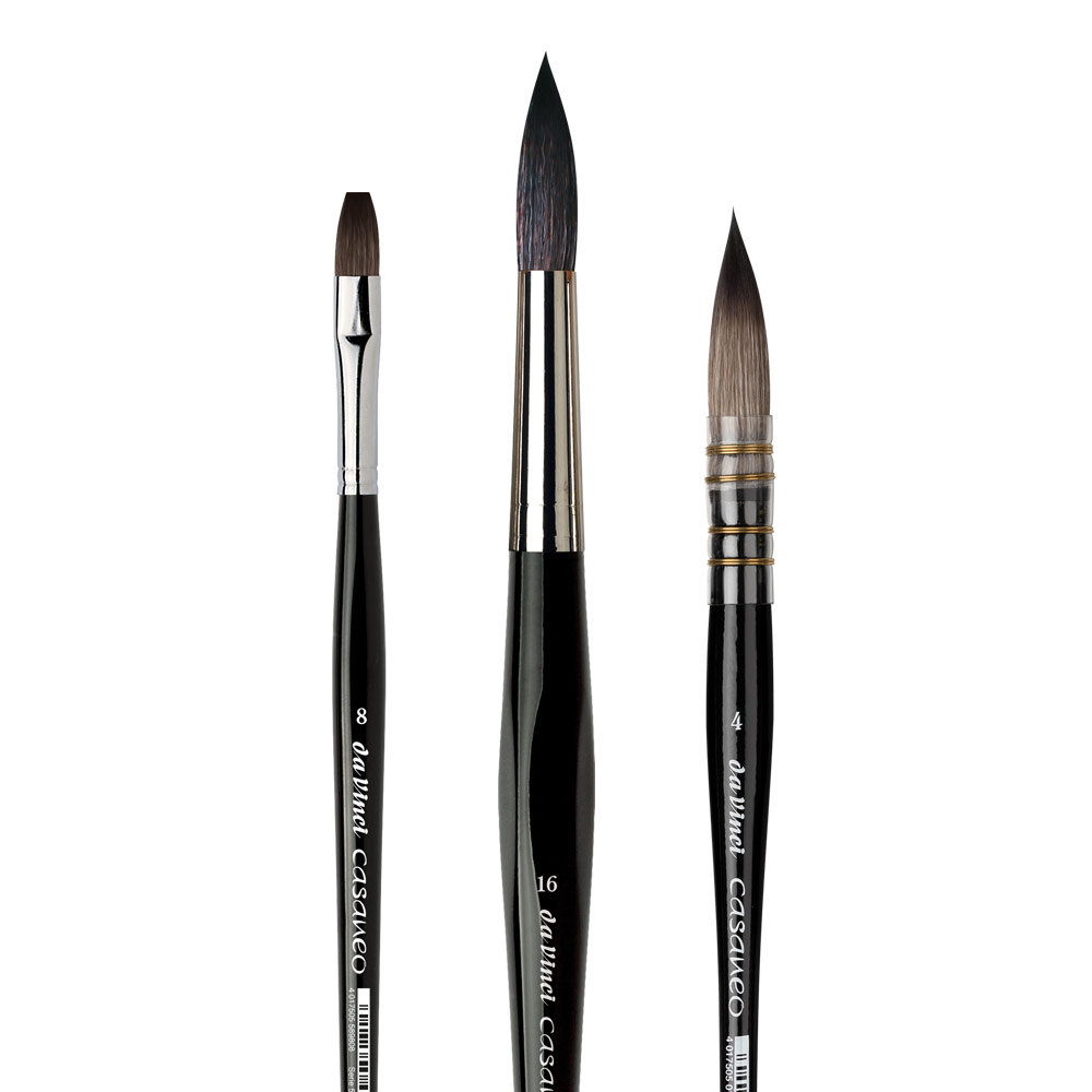 Casaneo Brushes