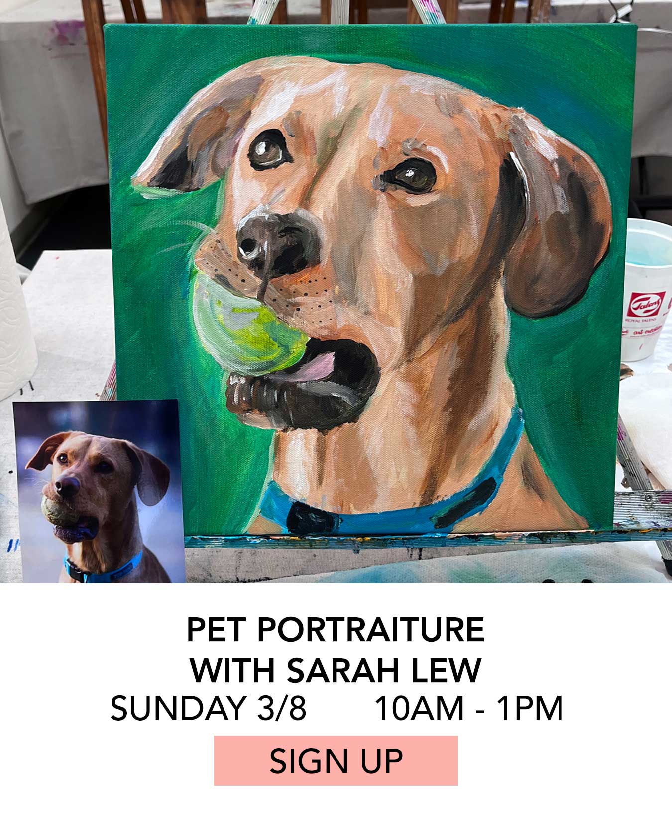Class: Pet Portraiture with Sarah Lew. Sunday 03/08 from 10:00am to 1:00pm. Click to Sign Up.