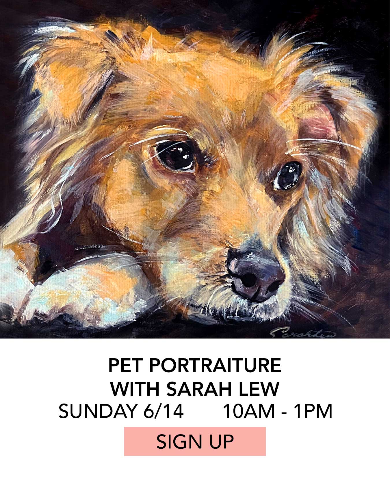 Class: Pet Portraiture with Sarah Lew. Sunday 6/14 from 10:00am to 1:00pm. Click to Sign Up.