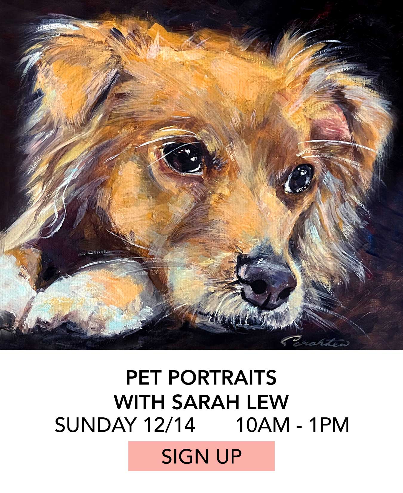 Class: Pet Portraits with Sarah Lew. Sunday 12/14 from 10:00am to 1:00pm. Click to Sign Up.