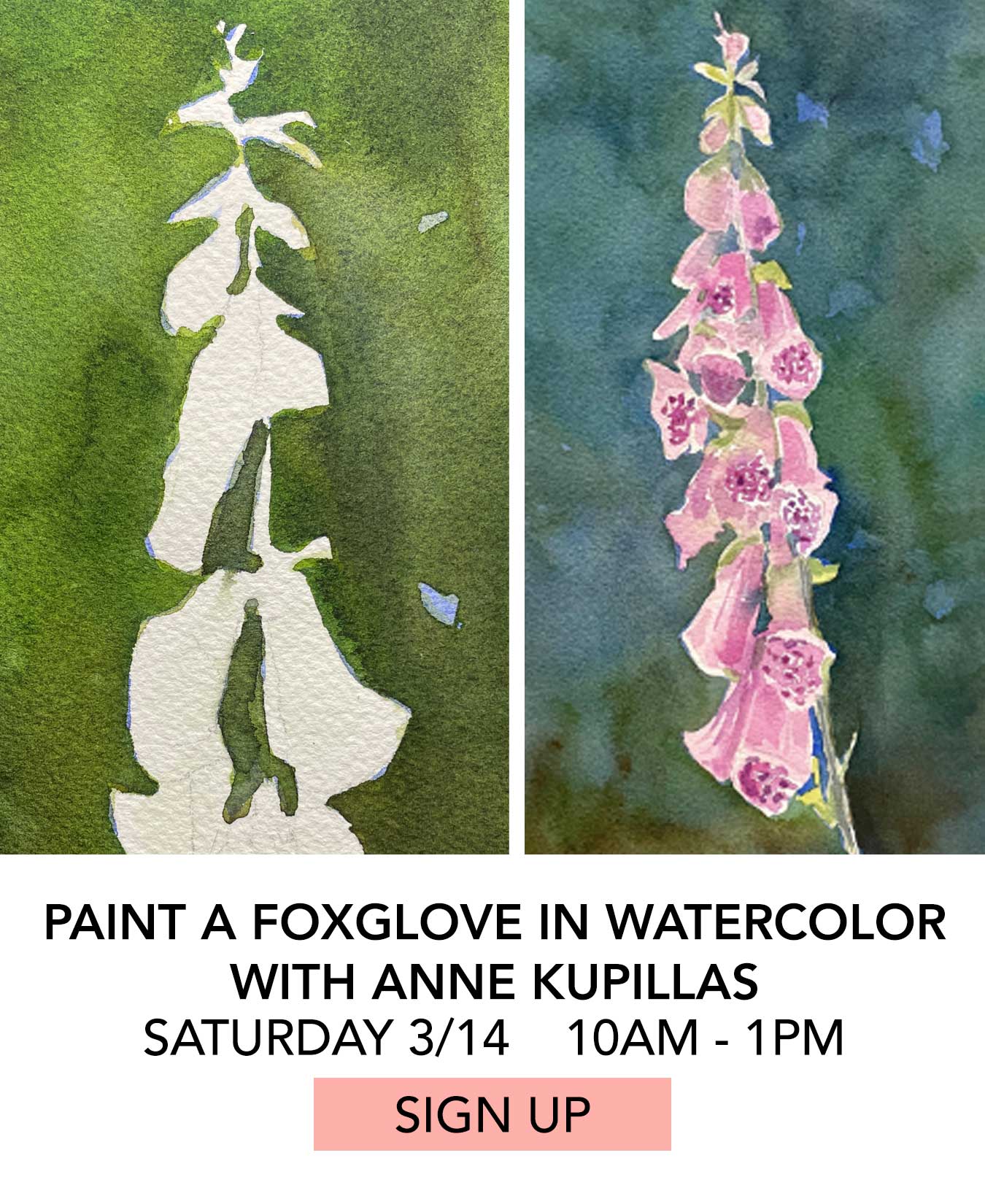 Class: Paint a Foxglove in Watercolor with Anne Kupillas. Saturday 03/14 from 10:00am to 1:00pm. Click to Sign Up.